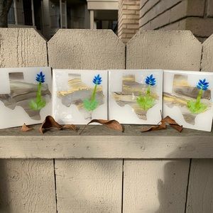 Texas coaster set (4) 4”x4”